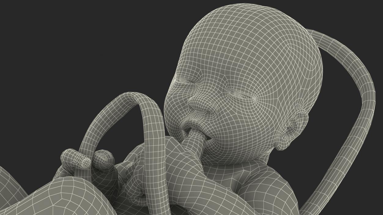 3D model Baby Boy at 38 Weeks