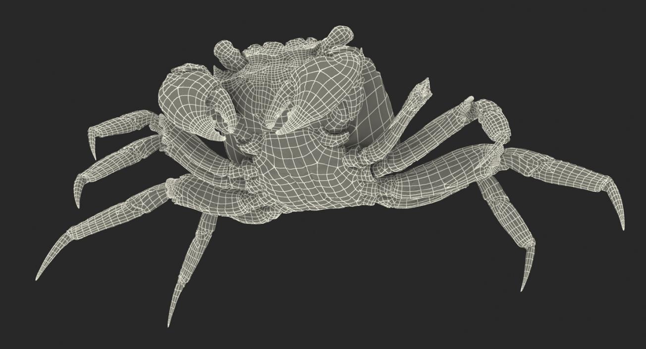 Vampire Crab Geosesarma with Fur 3D