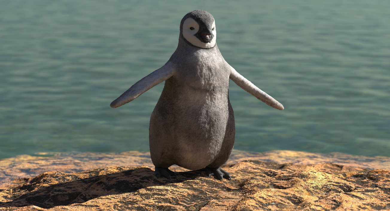Baby Emperor Penguin T-Pose 3D