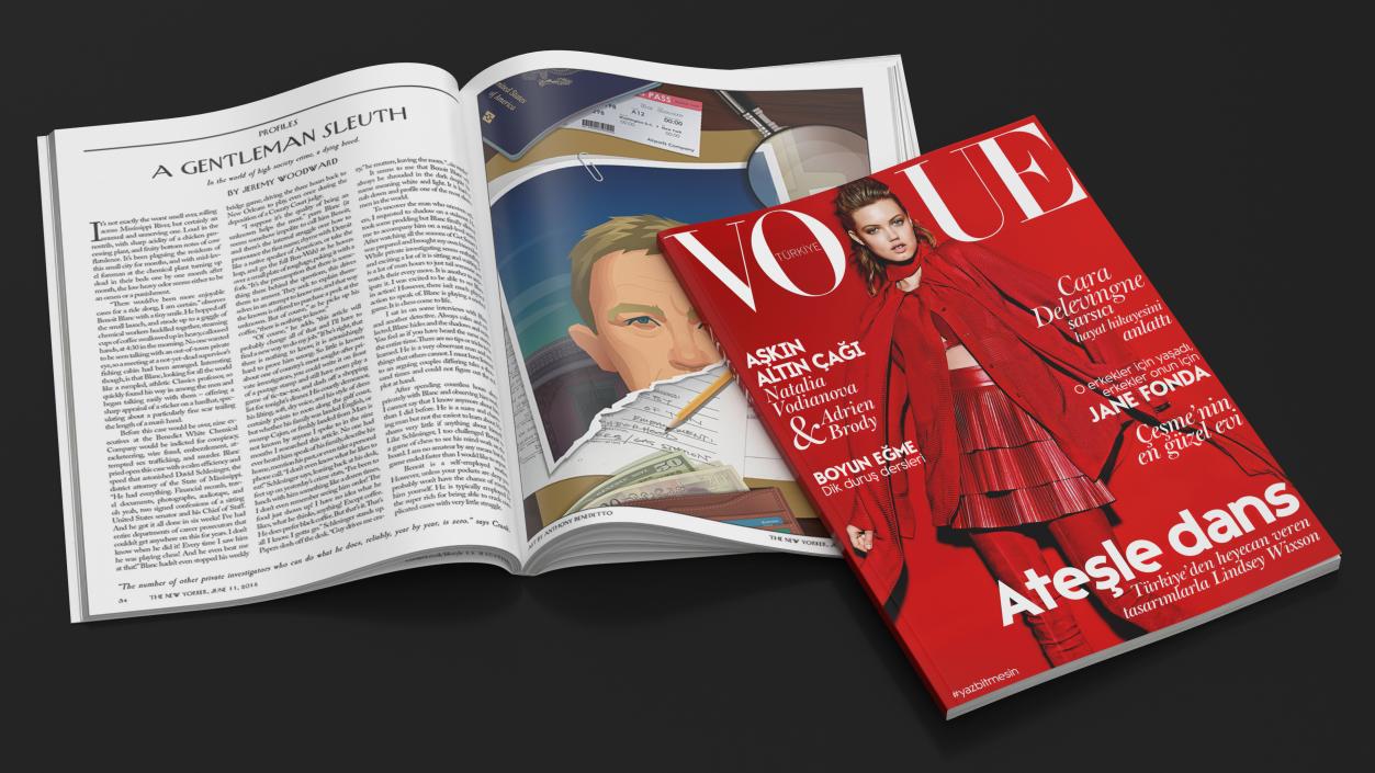 3D model Vogue and New Yorker Magazines