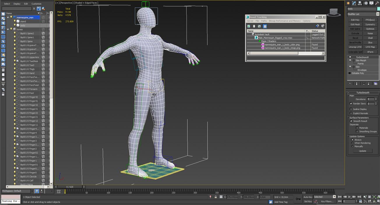 3D Male Mannequin Rigged
