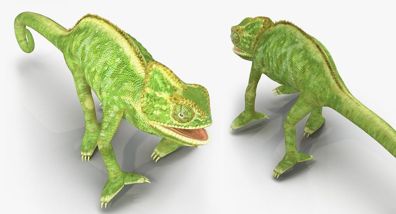 Rigged Lizards Collection 2 3D