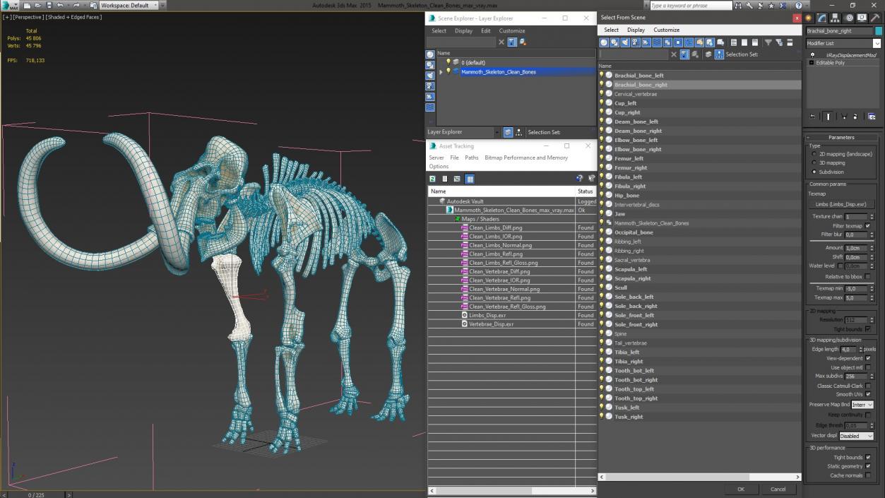 3D Mammoth Skeleton Clean Bones model