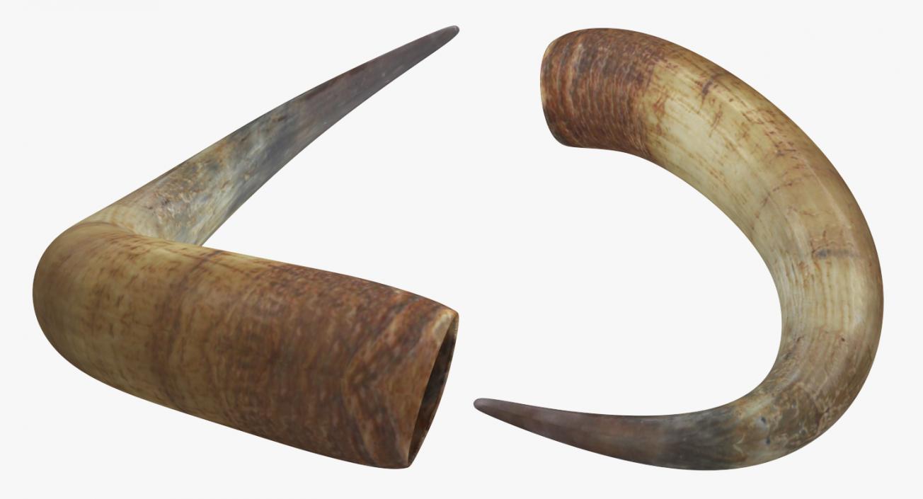 3D model Bulls Horn