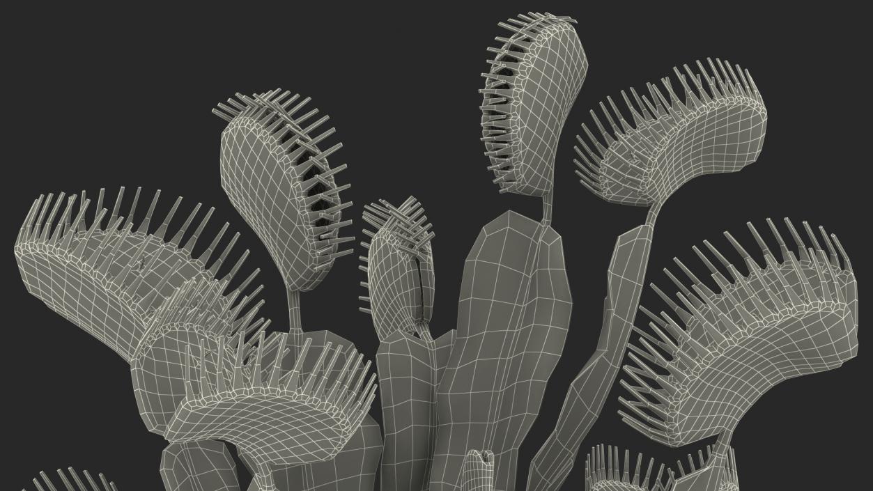3D Venus Flytrap in Plant Pot