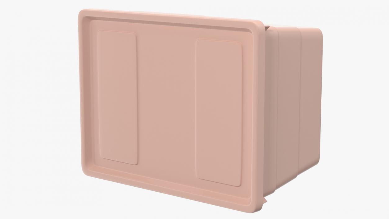 3D Pink Plastic Storage Box with Lid model