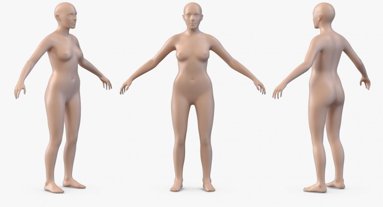 3D model Female Body with Skeleton