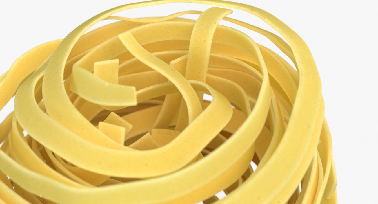 Uncooked Pasta Nest 3D model