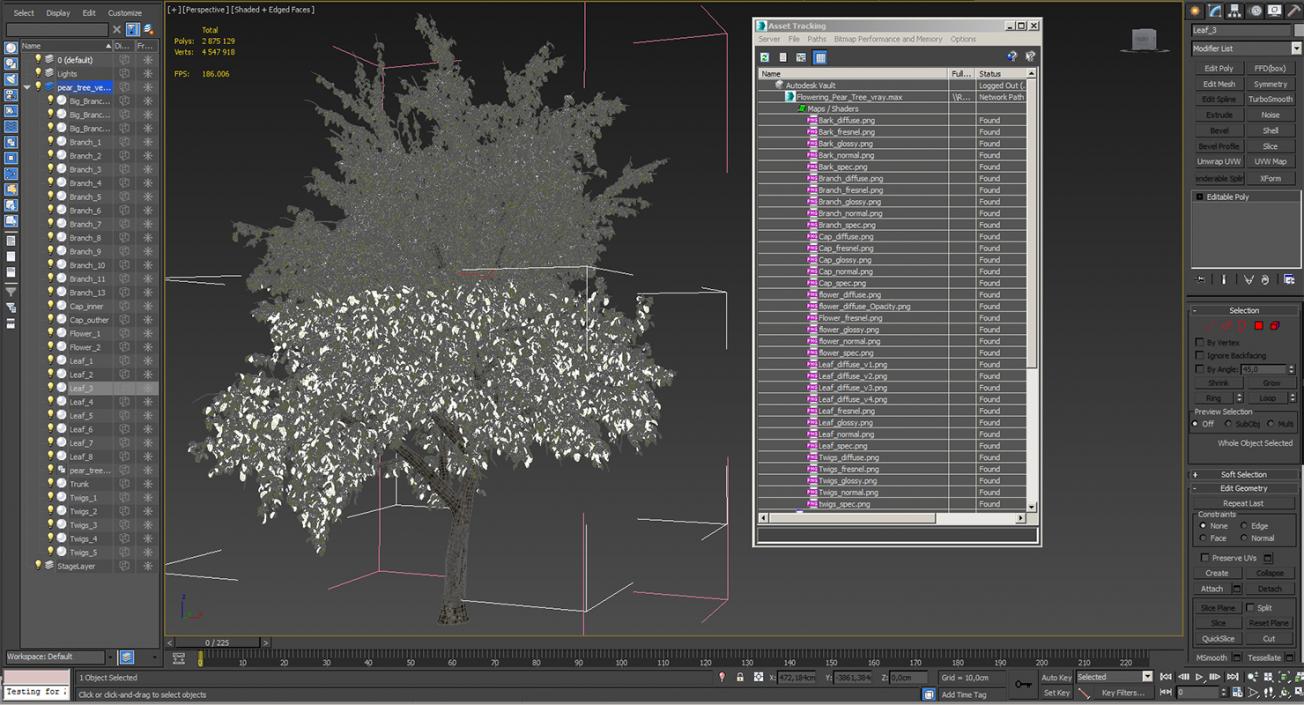 Flowering Pear Tree 3D model