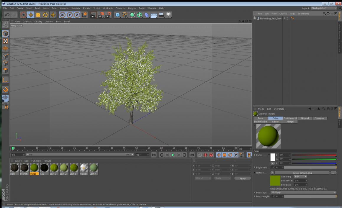 Flowering Pear Tree 3D model