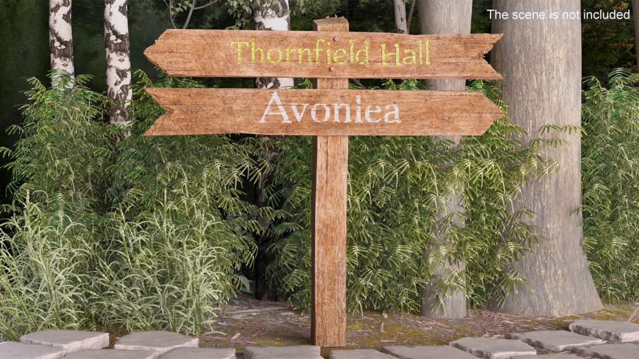 Old Wooden Direction Pointer Signpost 3D
