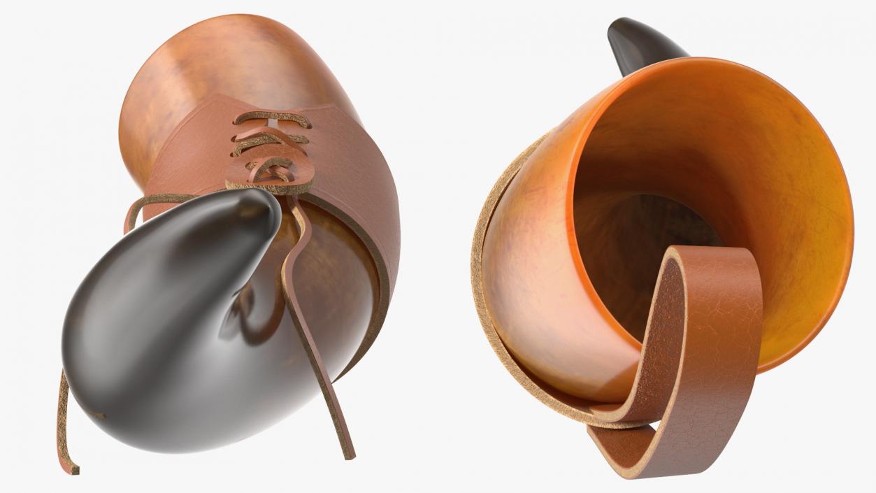 3D Vintaghe Dark Drinking Horn in Leather Case model