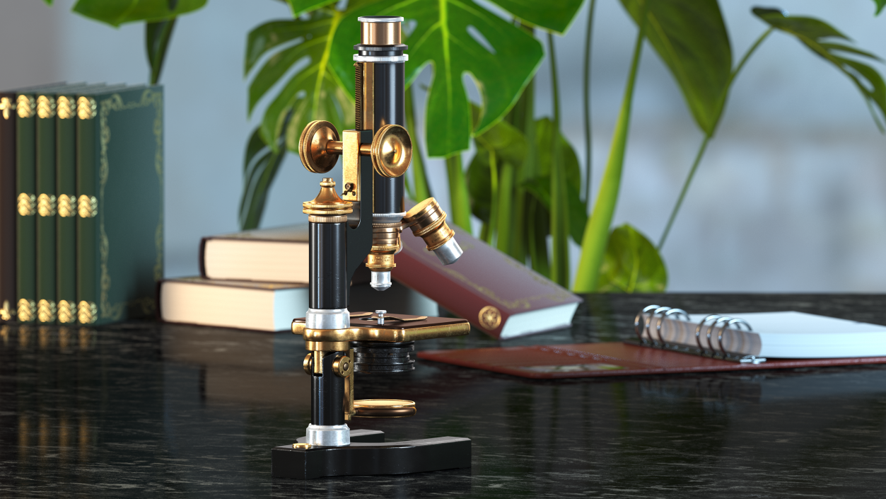 Antique Microscope Black 3D model