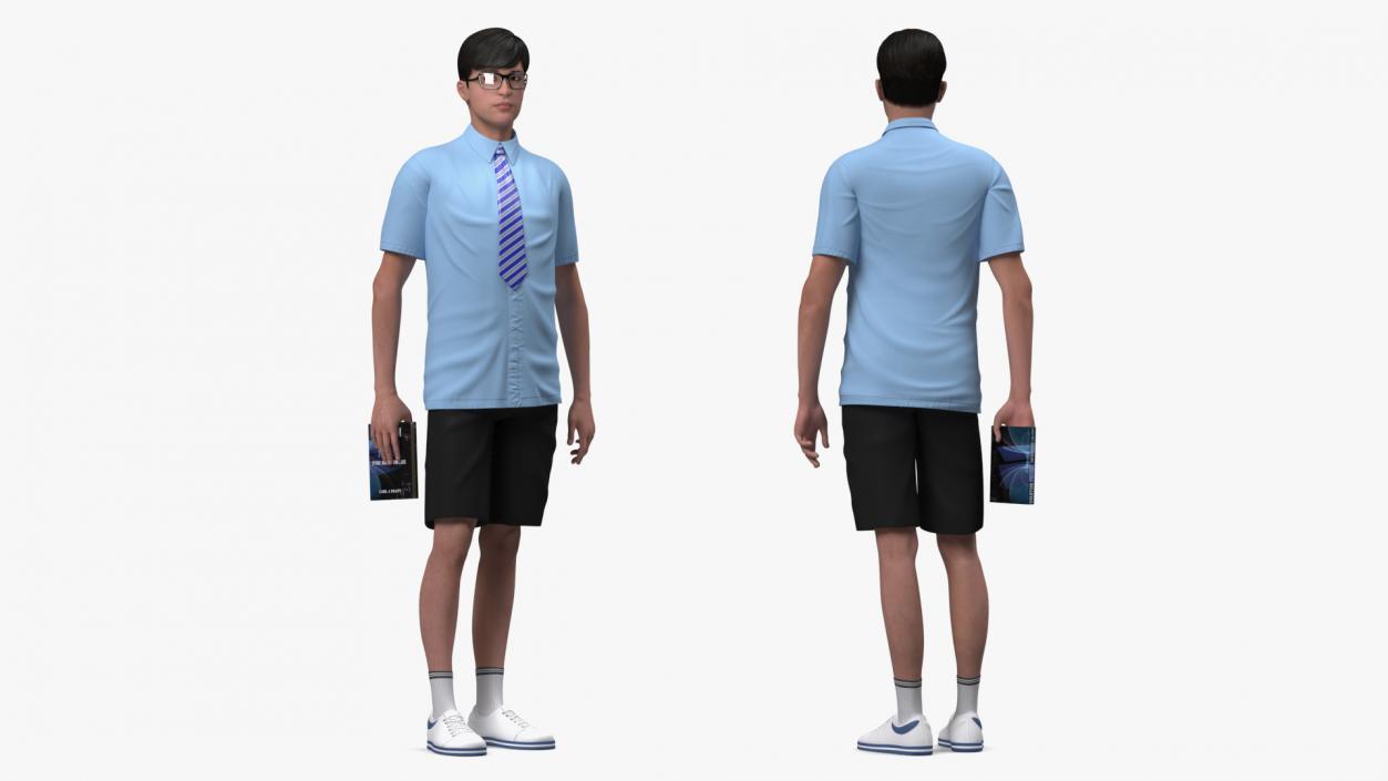 Chinese Schoolboy 3D