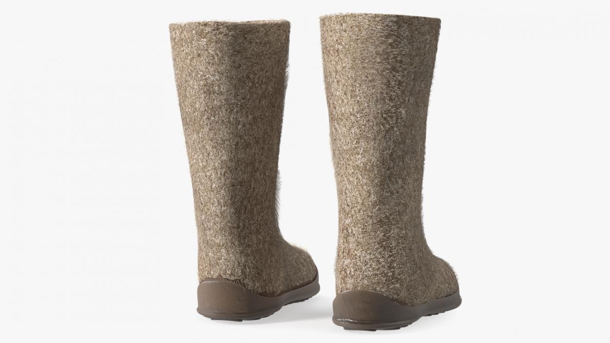 Warm Rustic Felt Boots With Rubber Soles Fur 3D model