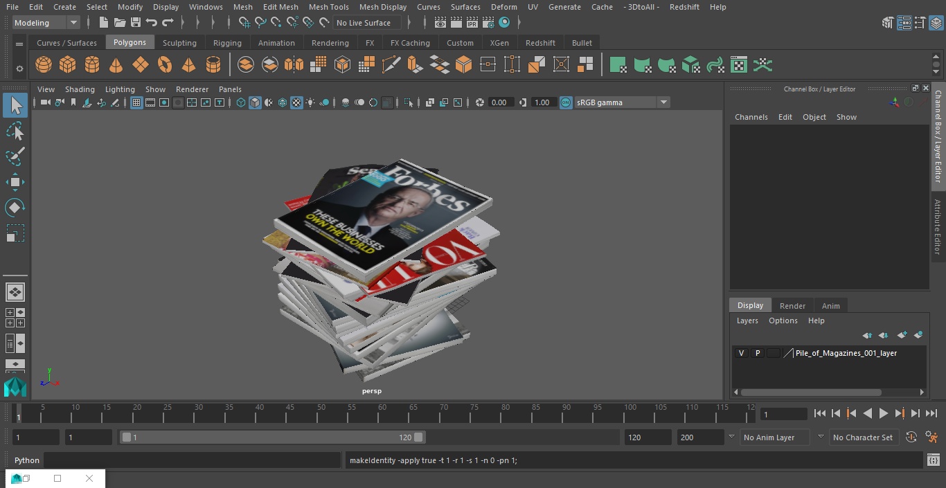 Pile of Magazines 3D