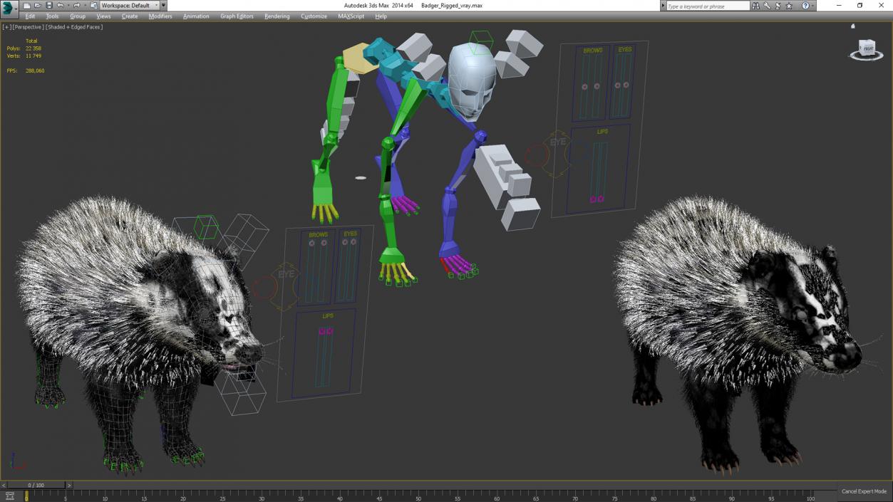 3D Badger Rigged model