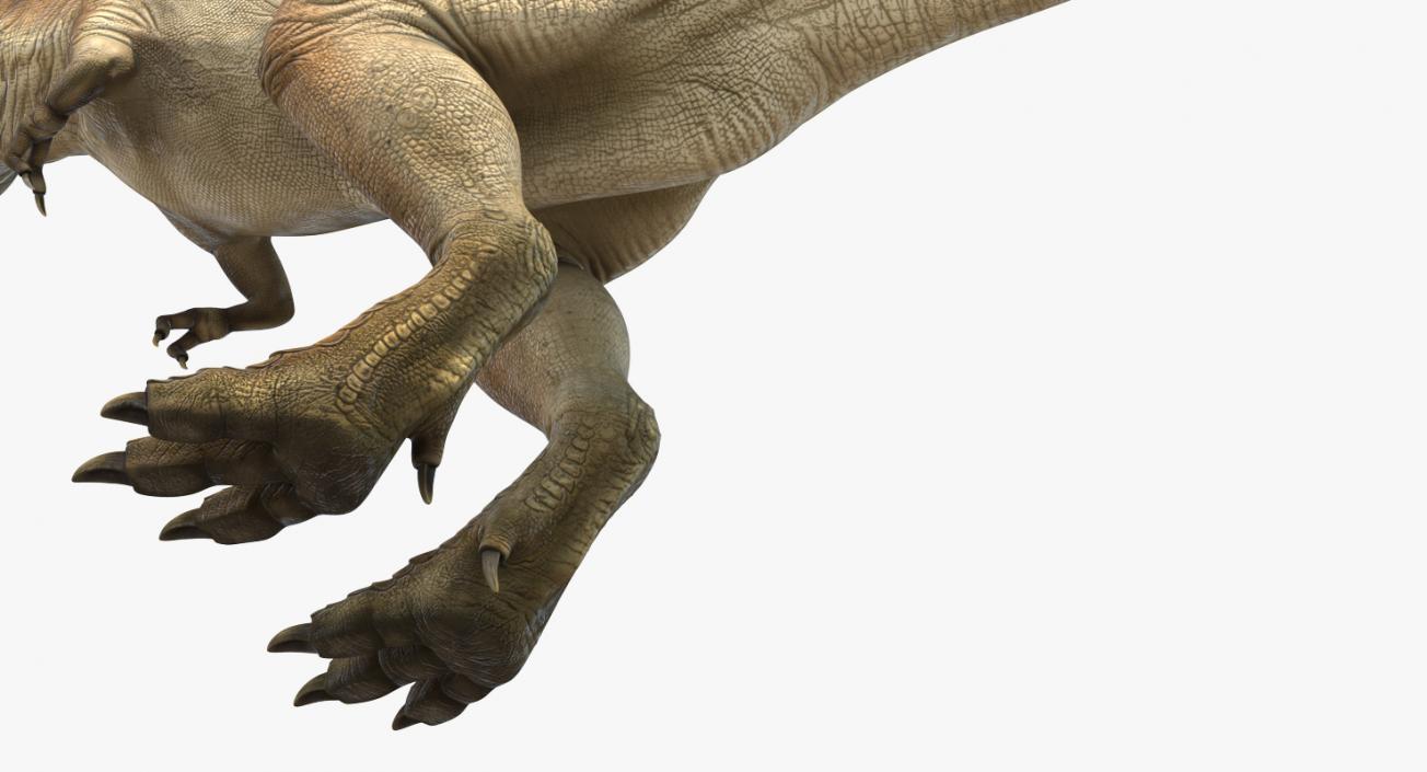 Tyrannosaurus Rex 3D
