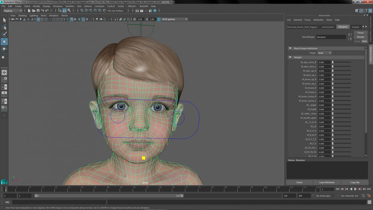 Child Boy Beach Style Rigged for Maya 3D