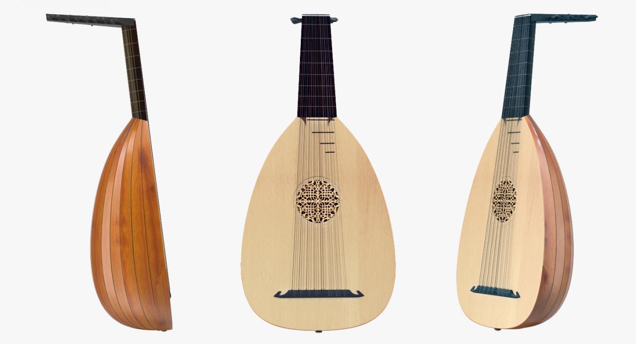 stringed instruments like a lute