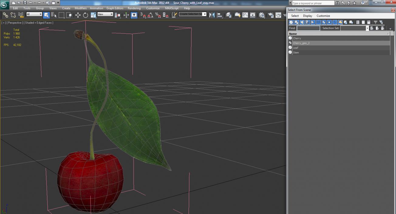3D Sour Cherry with Leaf