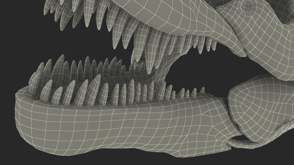 3D Tyrannosaurus Rex Skeleton with Skin