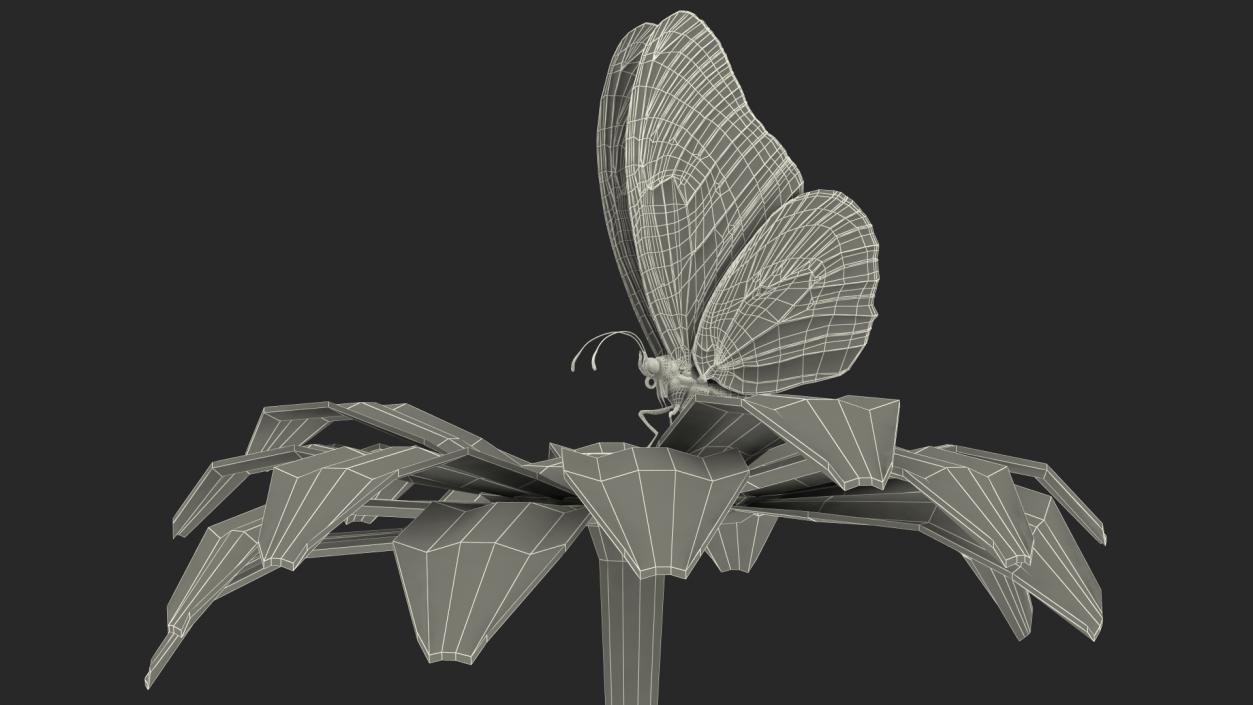 Animated Monarch Butterfly Collects Nectar from Swinging Flower Fur Rigged 3D model