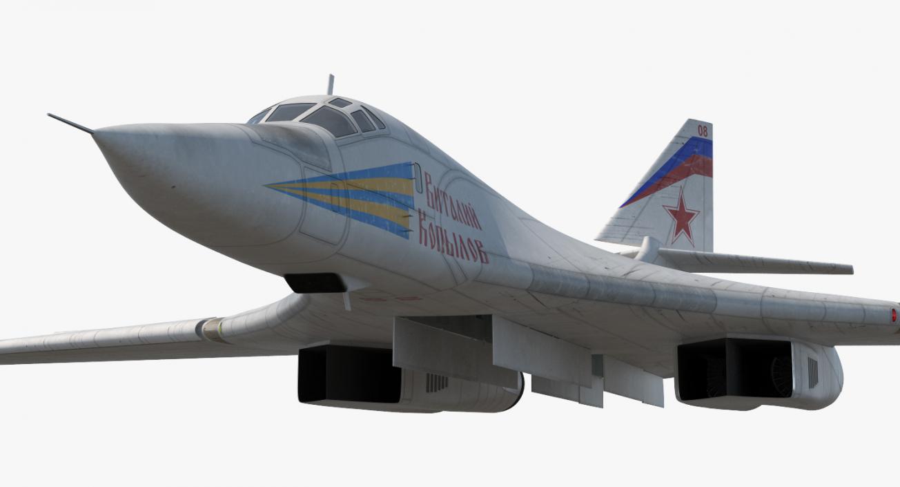 3D Strategic Bomber Tupolev Tu-160 Blackjack