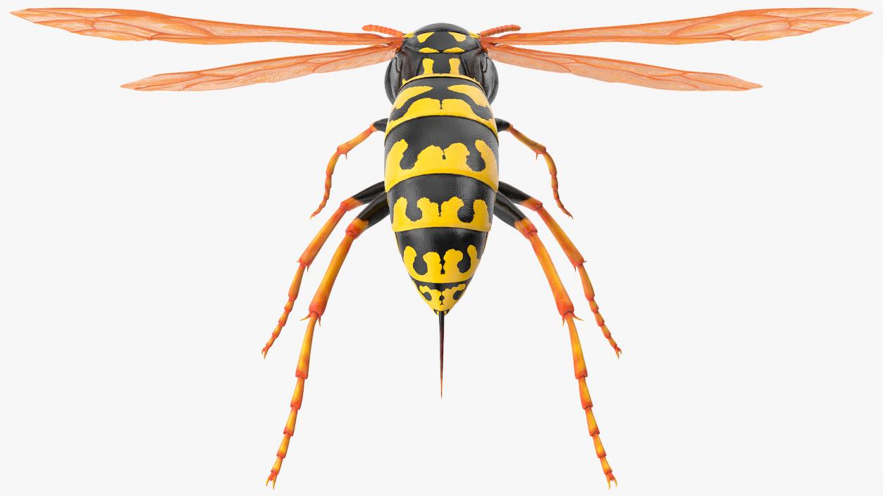 3D model Paper Wasp