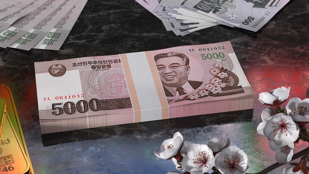 3D model North Korea 5000 Won Banknotes 2008 Pack