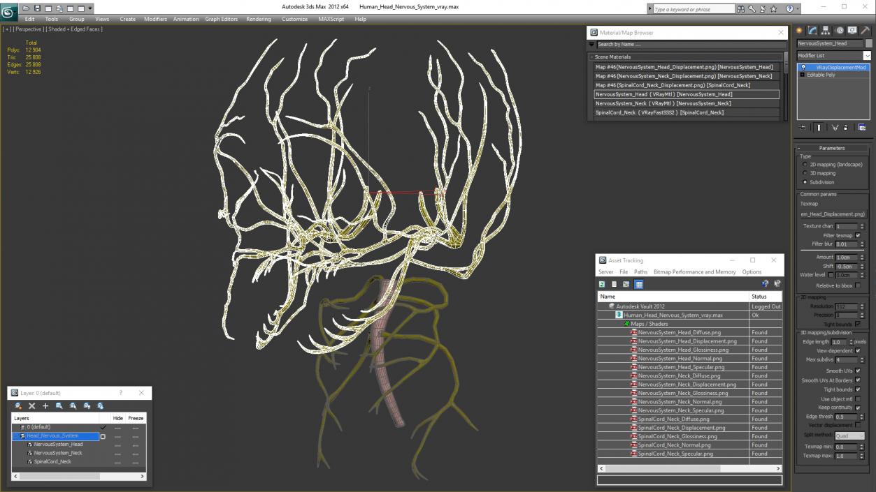 3D model Human Head Nervous System