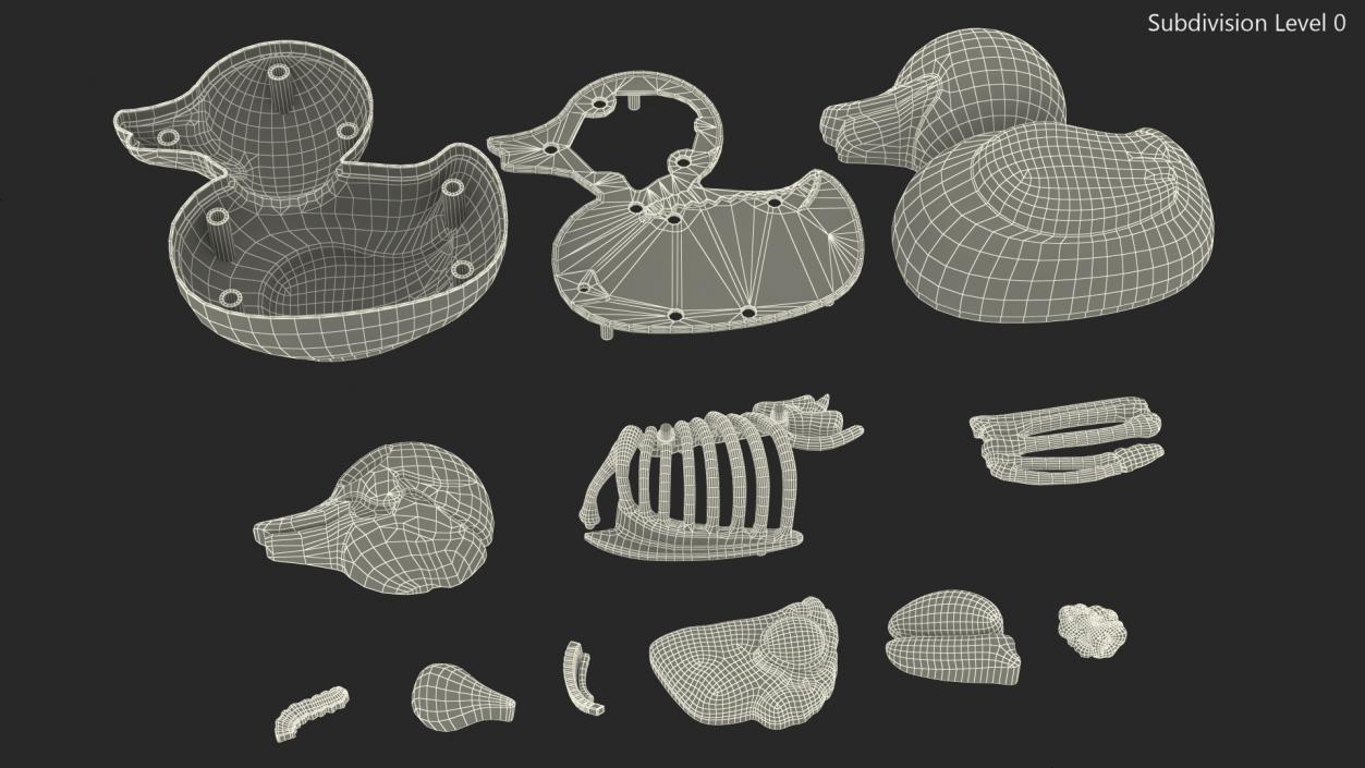 3D Bath Duck Anatomy Parts model