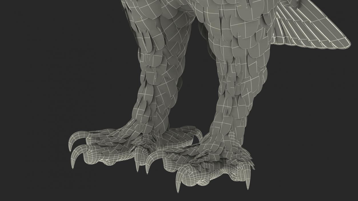 3D Great Horned Owl Rigged model
