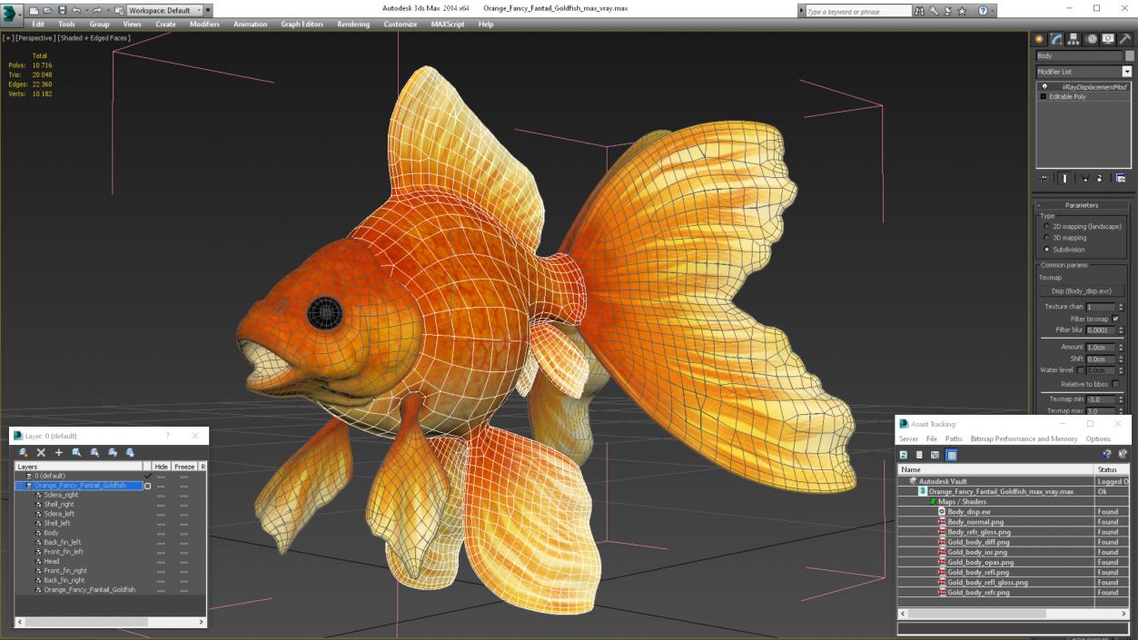 Orange Fancy Fantail Goldfish 3D model