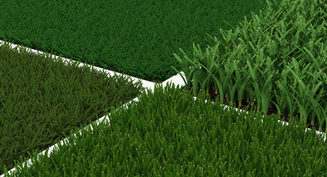 3D model Grass Fields Collection 3