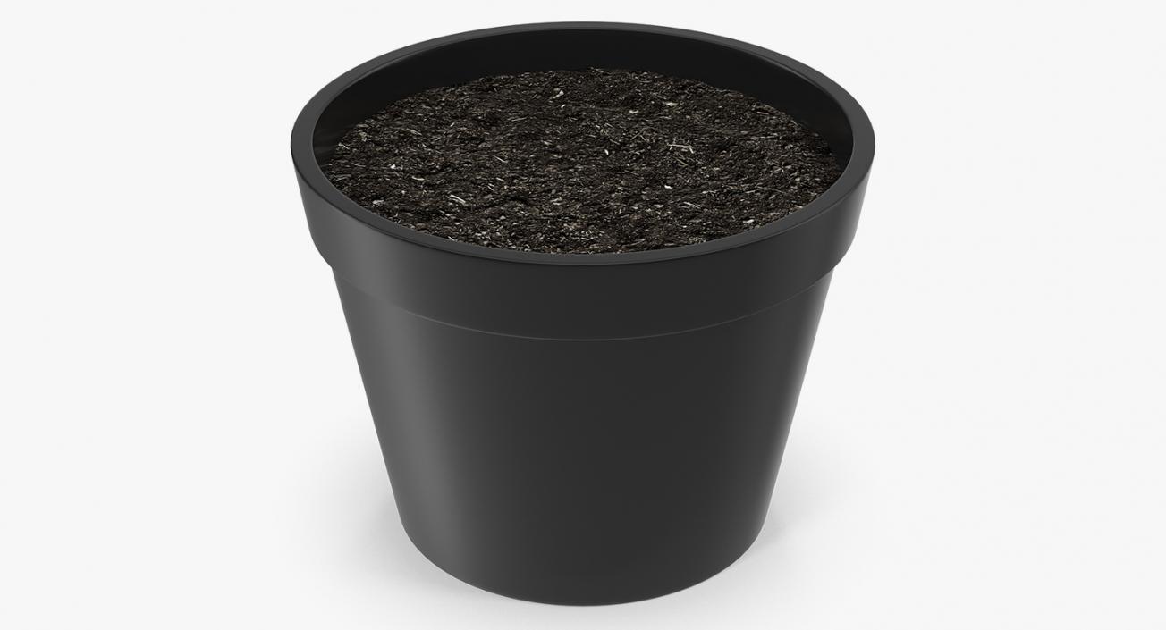 3D model Flower Pot With Soil