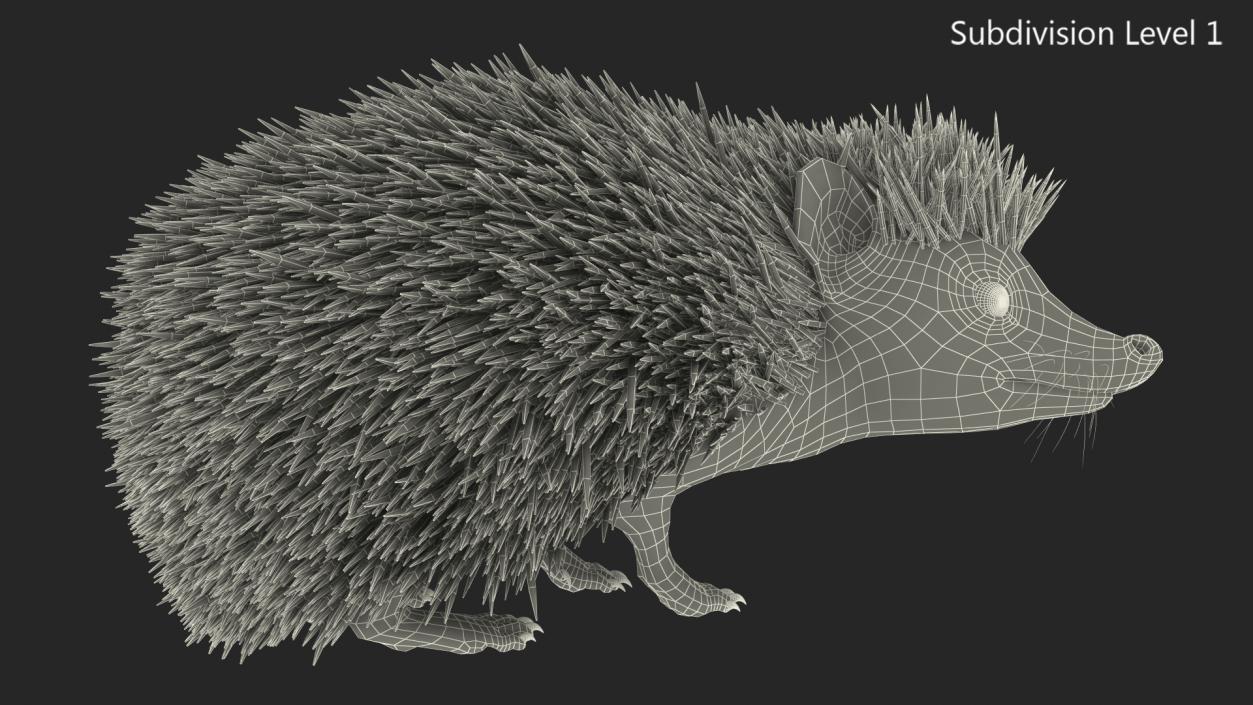 Black Hedgehog Standing Fur 3D