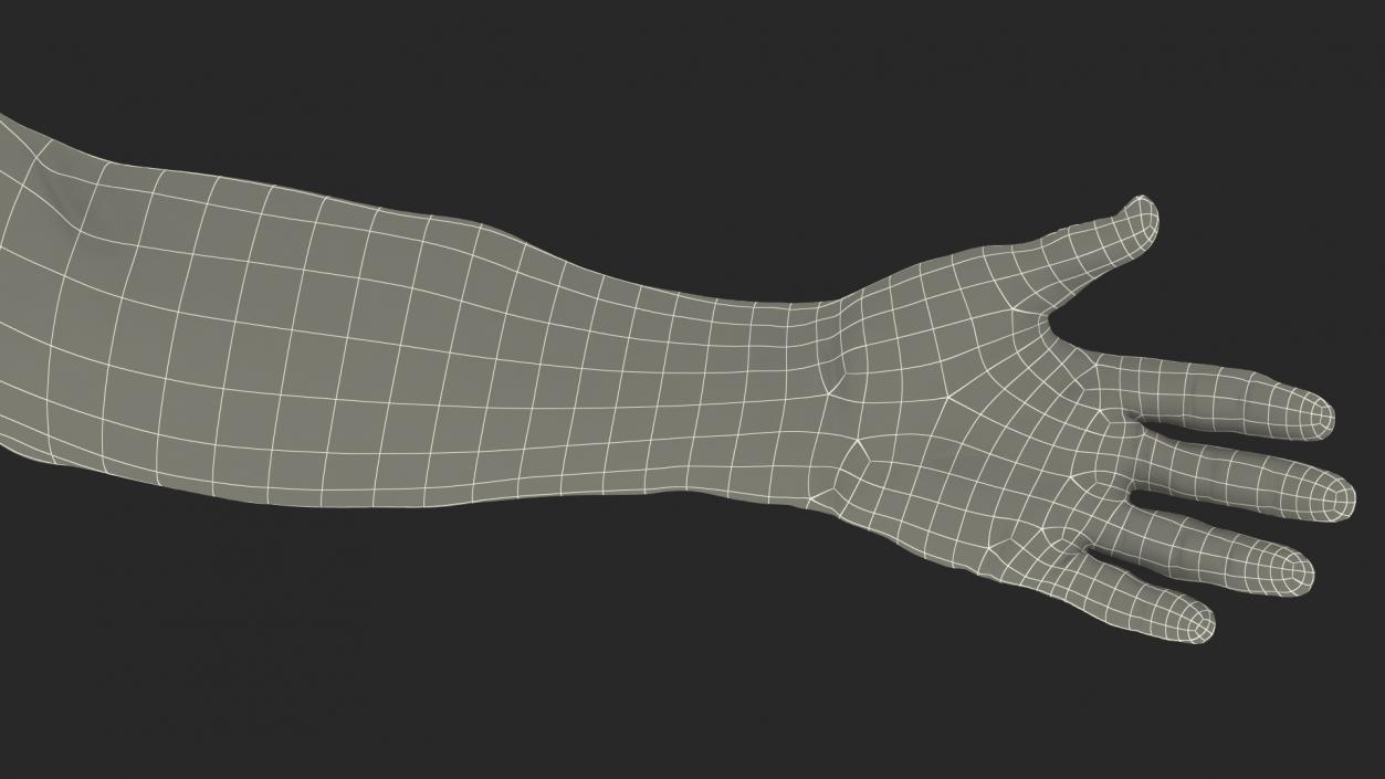 3D model Male Arm Full Anatomy and Skin