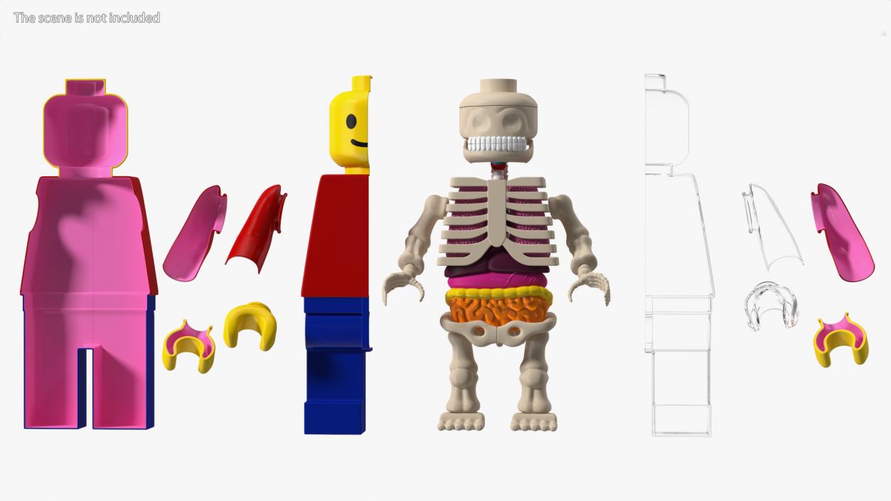 Anatomical LEGO Man Details 3D