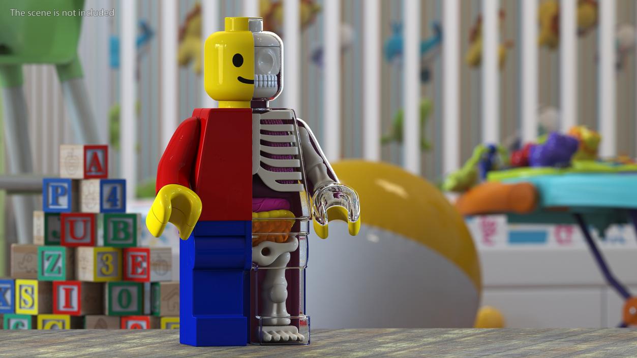 Anatomical LEGO Man Details 3D