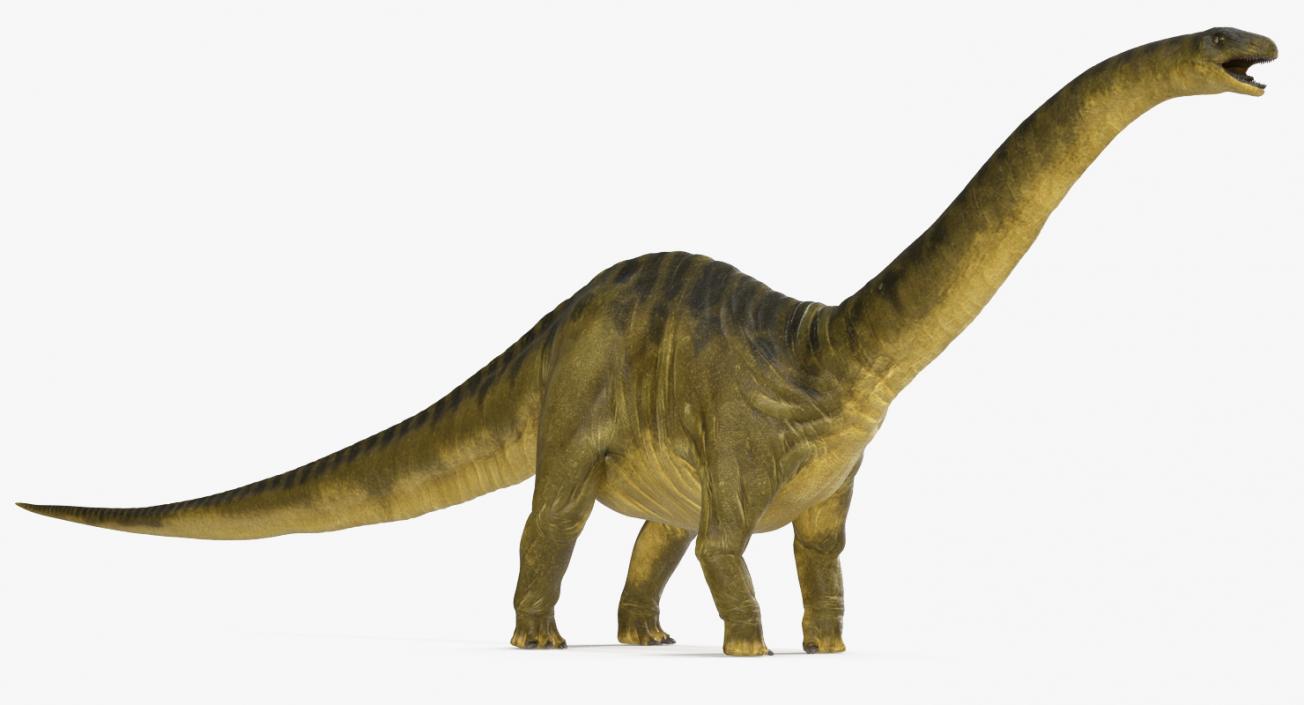 Apatosaurus Dinosaur Rigged 3D