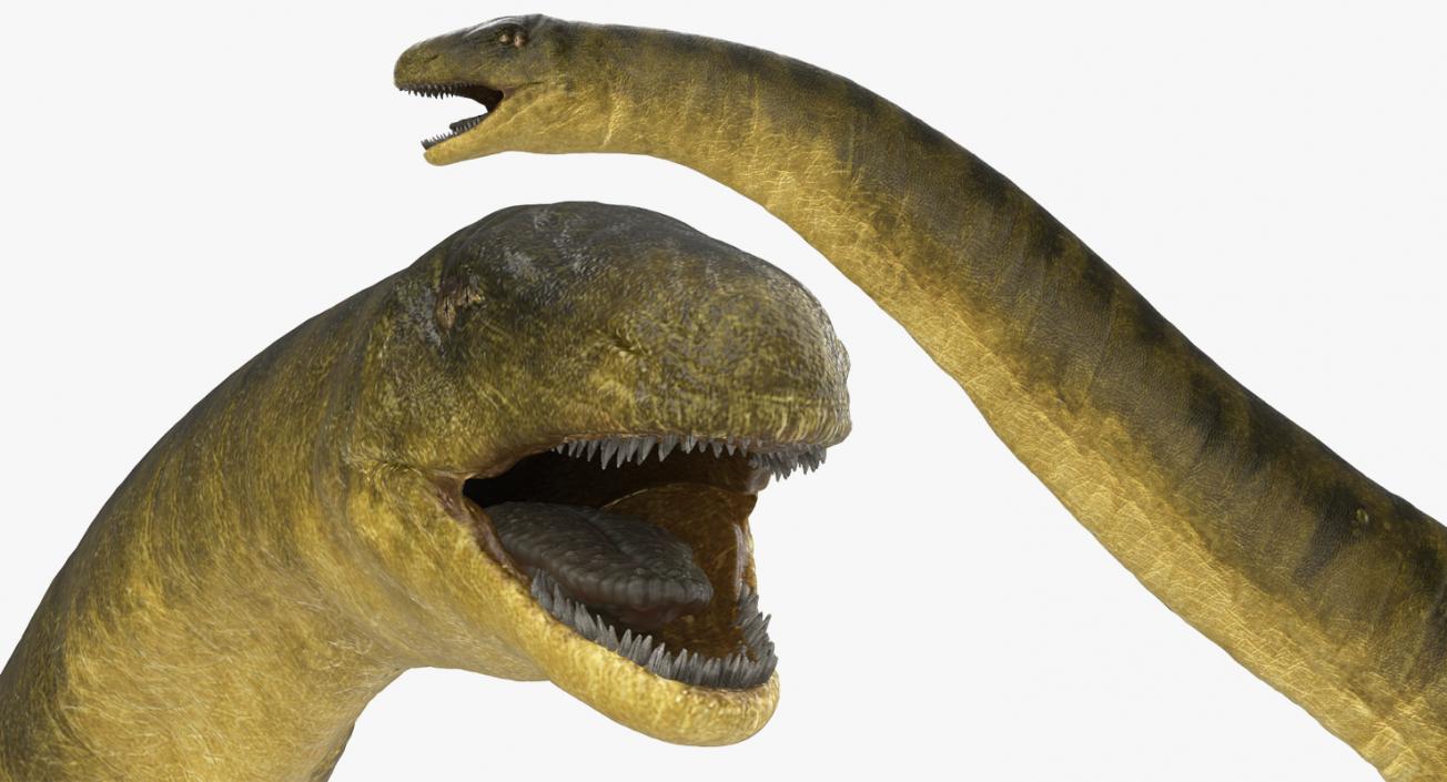 Apatosaurus Dinosaur Rigged 3D