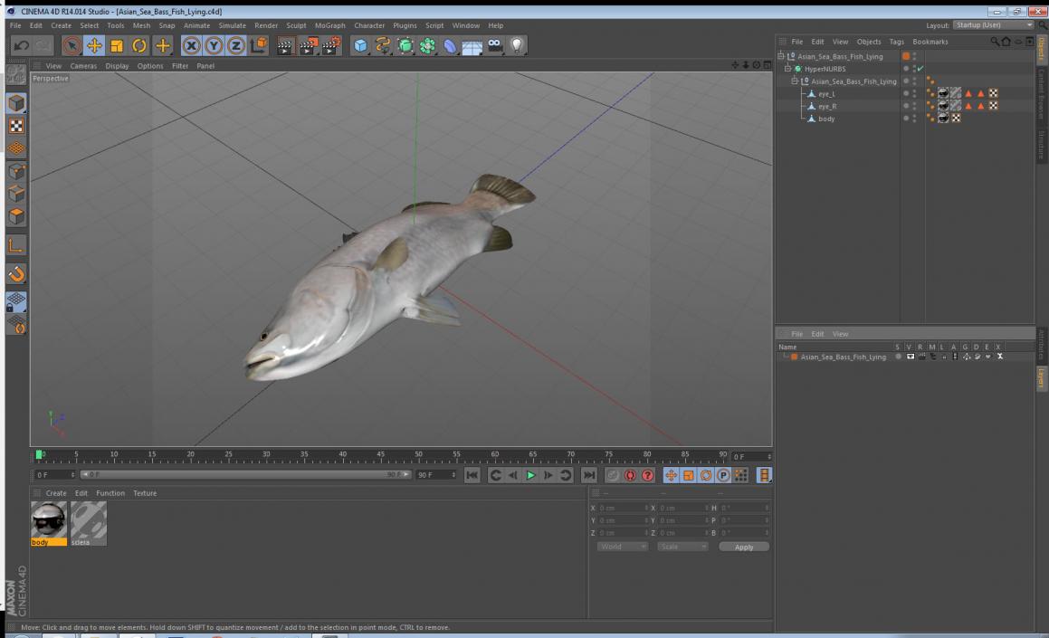 3D model Asian Sea Bass Fish Lying