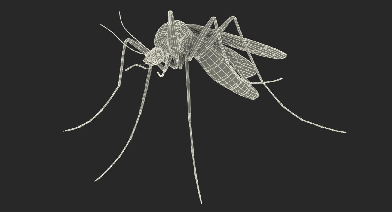 Mosquito with Fur 3D