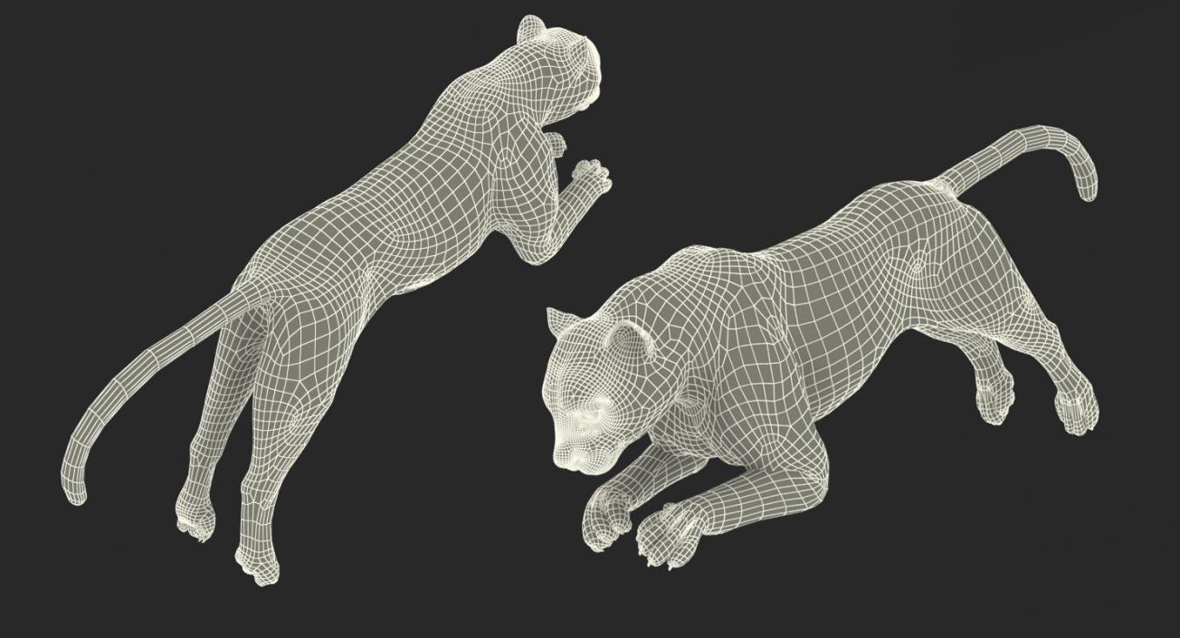Panthera Pardus Jumping Pose with Fur 3D