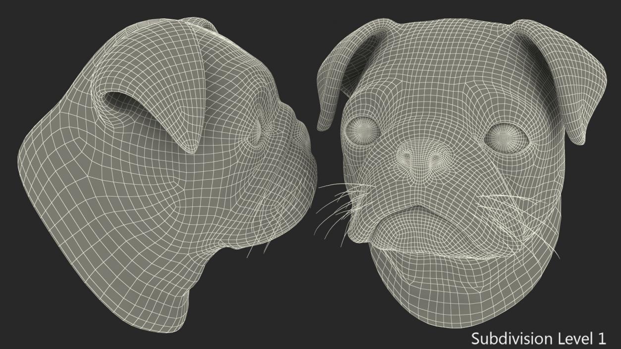 Pug Dog Head 3D