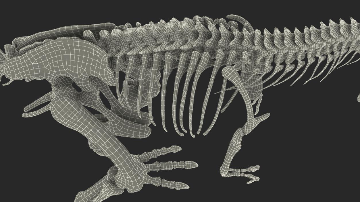 3D model Tyrannosaurus Rex Skeleton Fossil Rigged