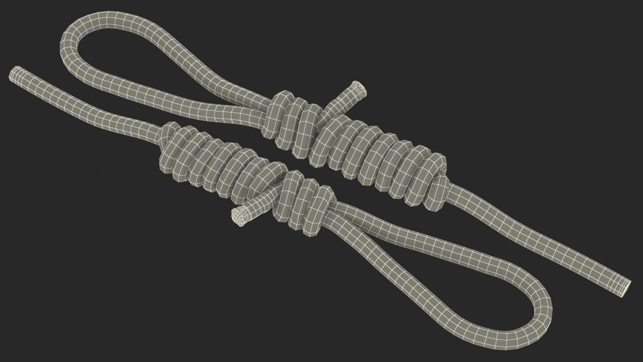 Bimini Twist Knot Rope 3D