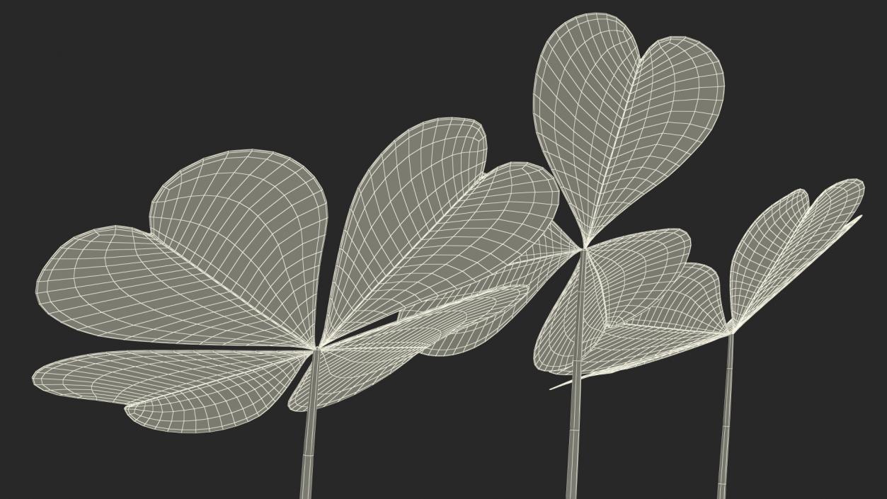 Green Clover Plant Set 3D