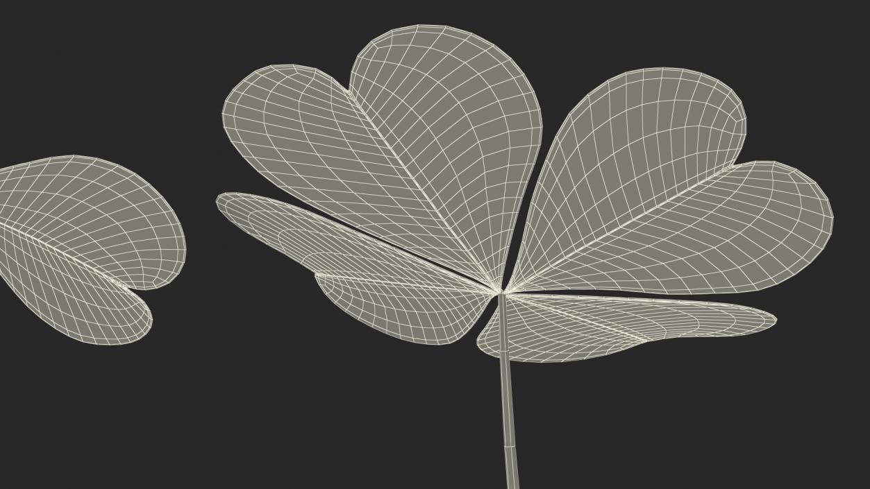Green Clover Plant Set 3D